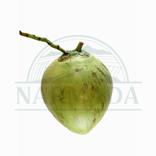 Coconut Green - Taropa