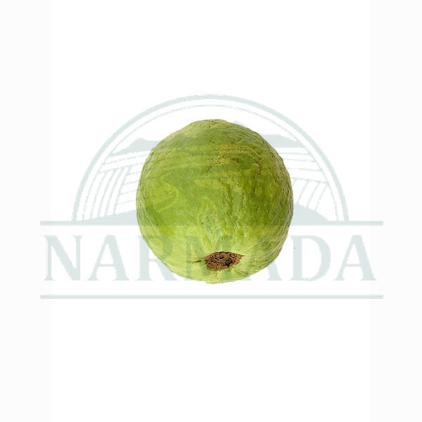 Guava