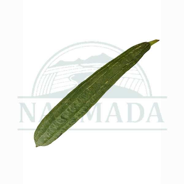 Chinese Okra TURIYA