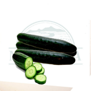 Cucumber Regular