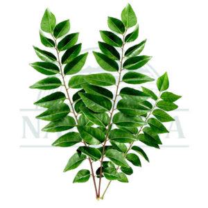 Curry Leaves Packet