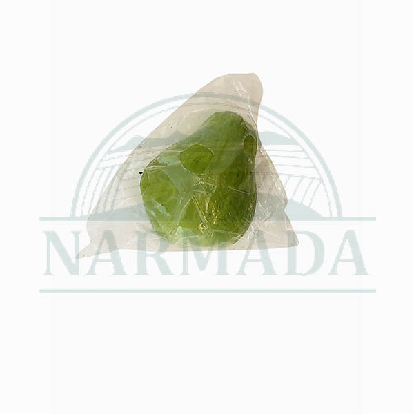 Chayote