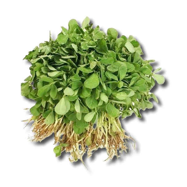 Methi Bunch