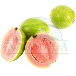 Guava Mini