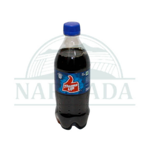 THUMS UP PLASTIK BOTTLE 250ML