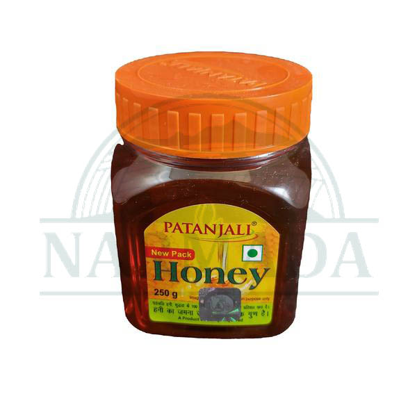 HONEY 500G PATANJALI