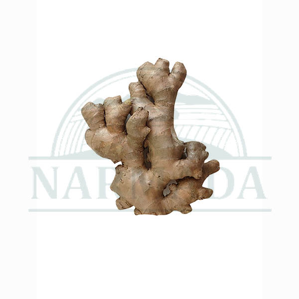 Organic Ginger 0.5 lb