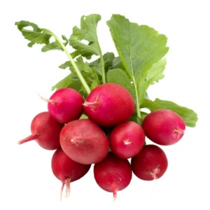 Radish 0.5 lb