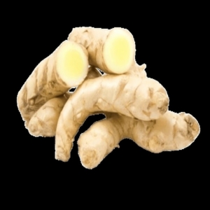 White Turmeric Fresh 0.25 lb