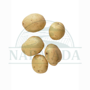 IDAHO POTATO LOOSE 1lb