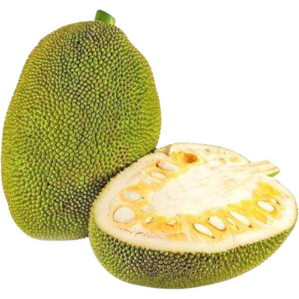 Jackfruit Green - Each