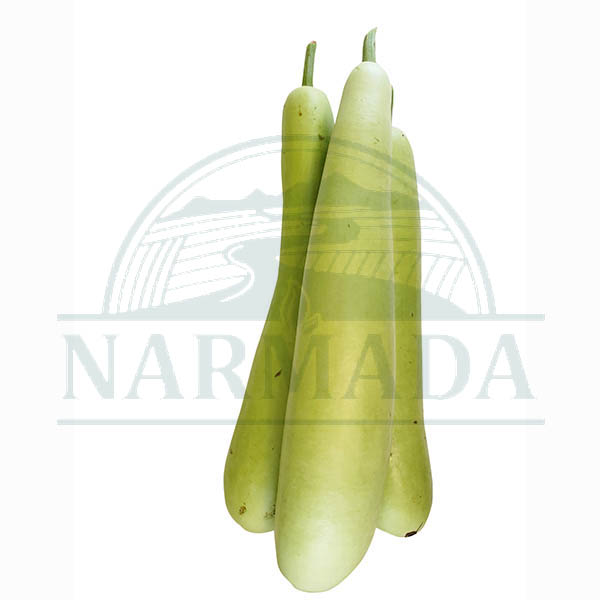 Long Squash Indian - Each