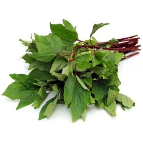 Gongura Leaves Bunch