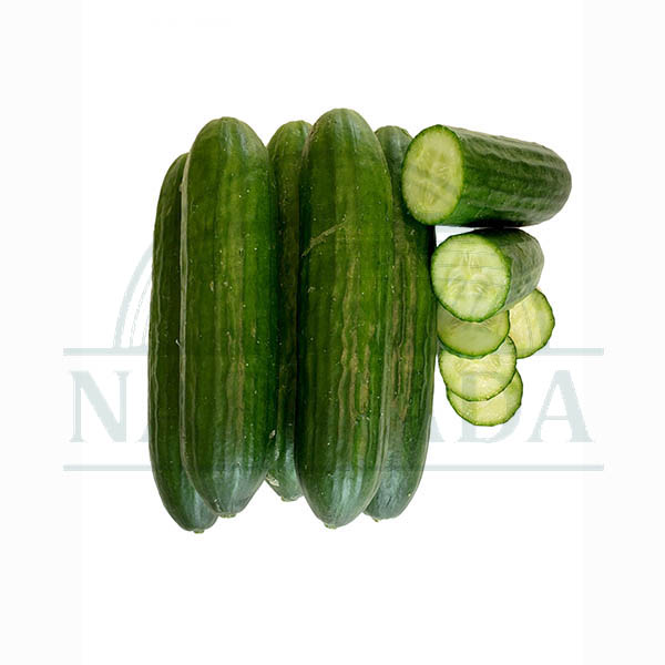 Cucumber Persian - Each