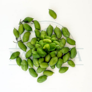 Chana Green Fresh 0.5