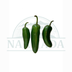 Jalapeno Pepper 0.5 lb