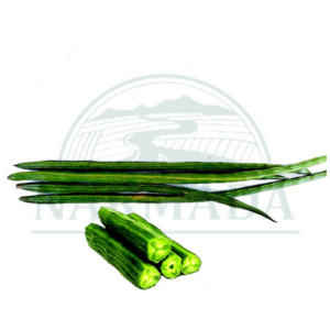 Drumstick Fresh - Each