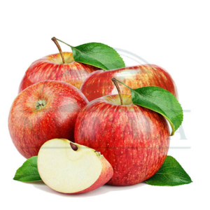 Gala Apple Each