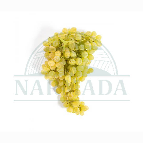 cotton candy Grape Pack 1lb