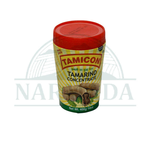 TAMICON PASTE 14 OZ