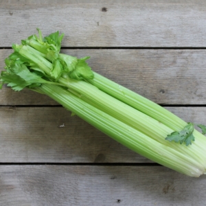 CELERY EACH