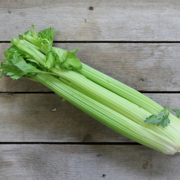 CELERY EACH