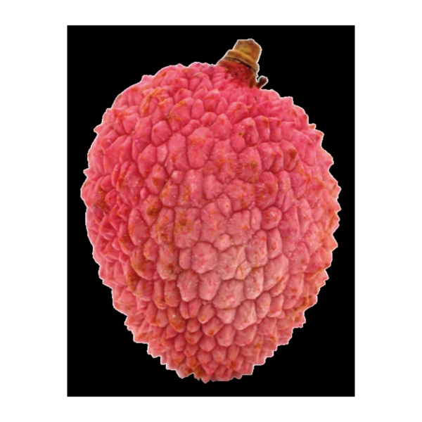 LYCHEE FRESH