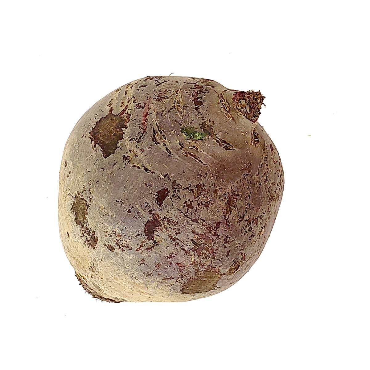 Beet - Image 1