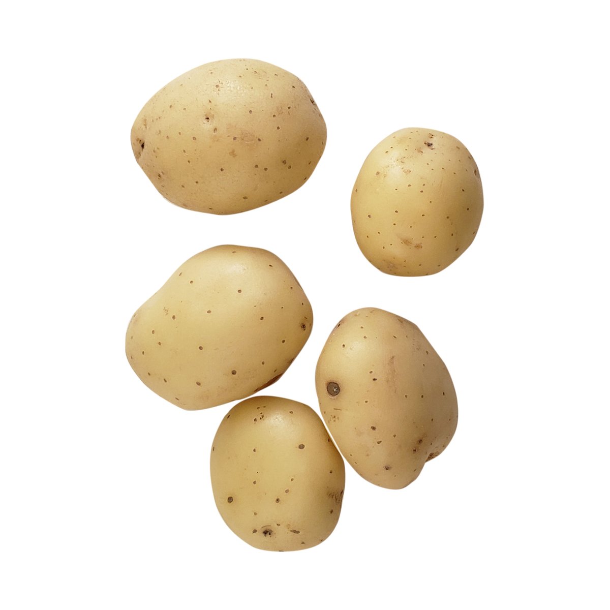 White Potato - Image 1