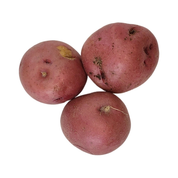 Red Potato