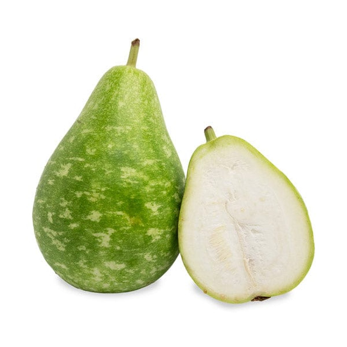Bengali Squash - Image 1