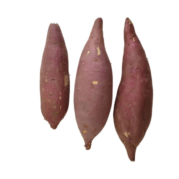 Sweet Potato