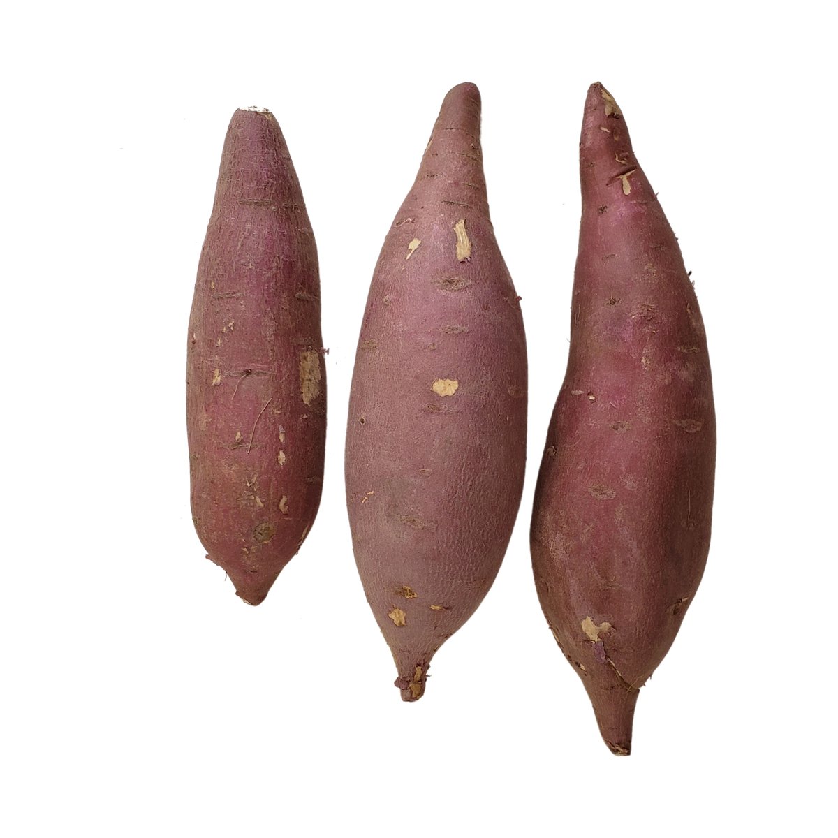 Sweet Potato - Image 1