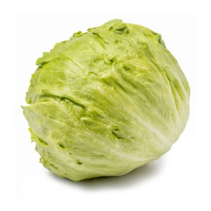 Lettus