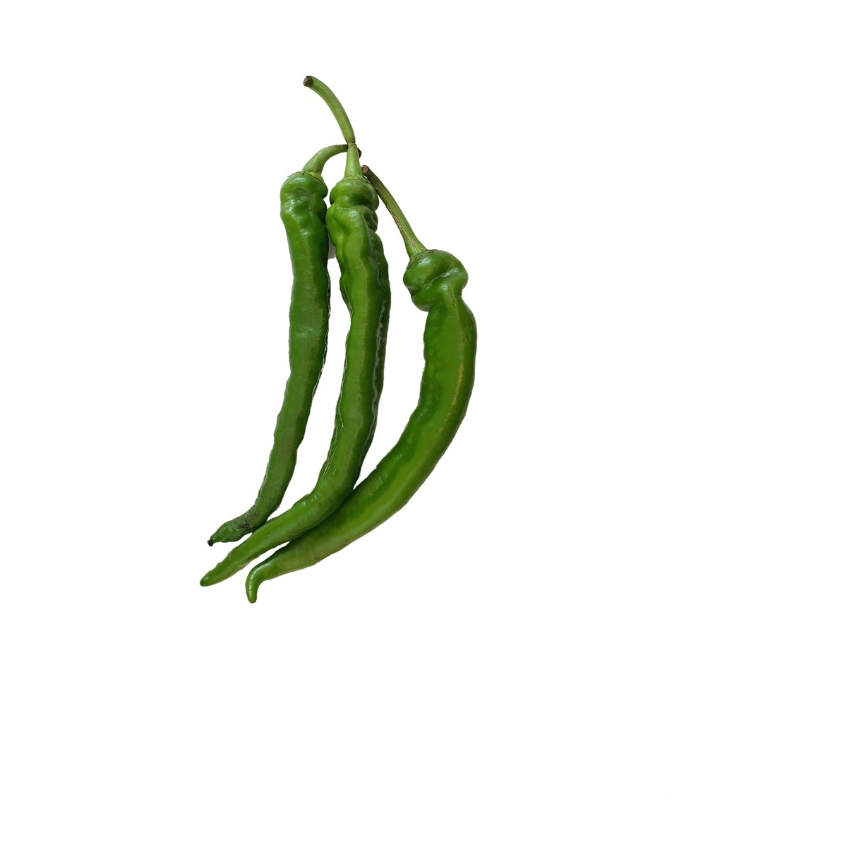 Chilli Long Hot - Image 1