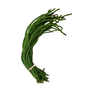 Green Long Chori