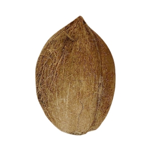 Coconut Dry Mature