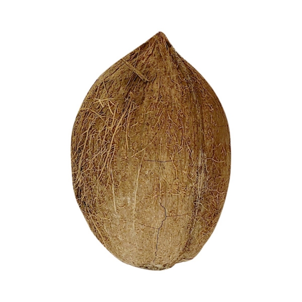 Coconut Dry Mature