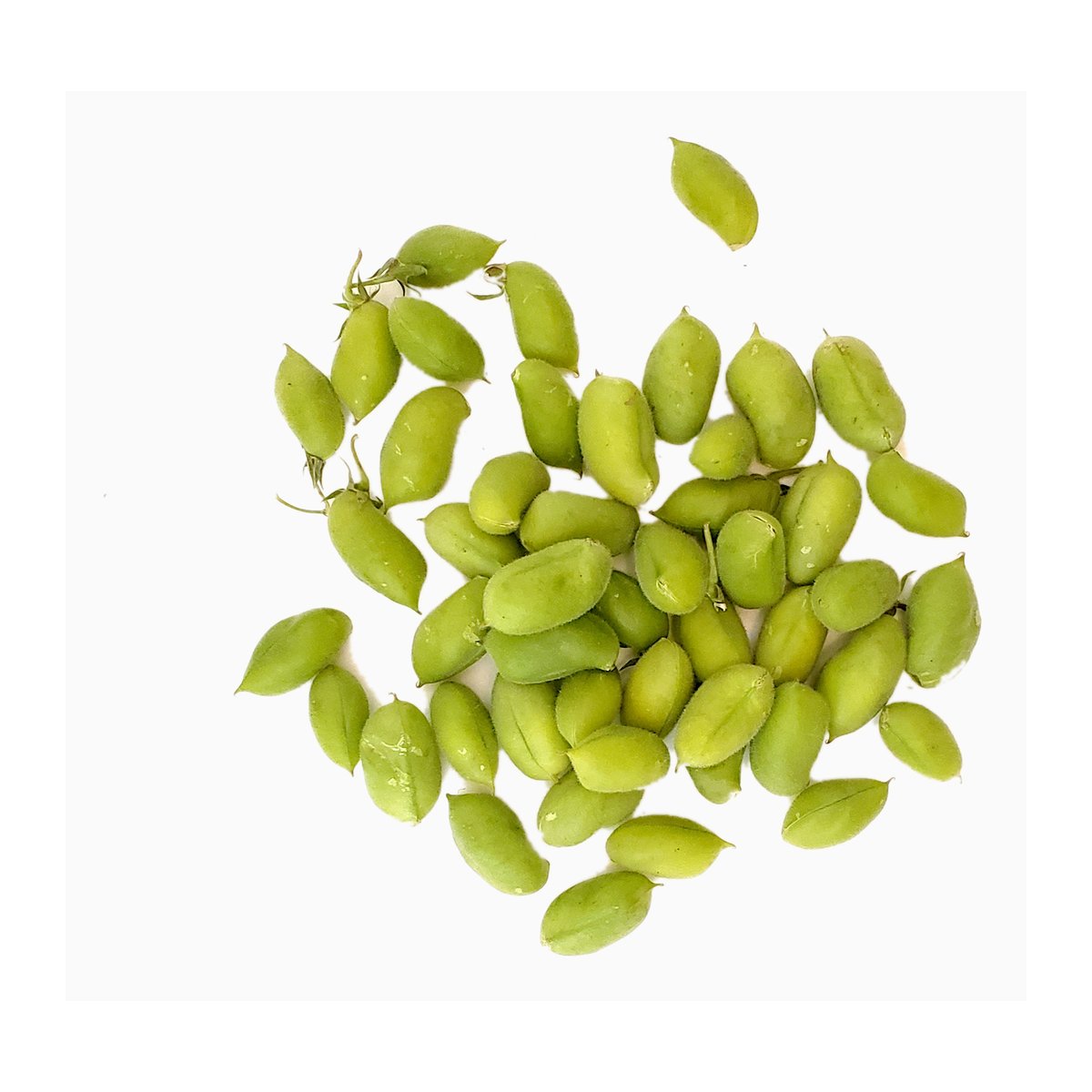 Chana Green Fresh - Image 1