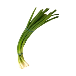 Scallion