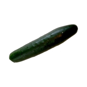 Cucumber Regular