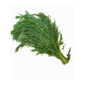DILL LEAVES