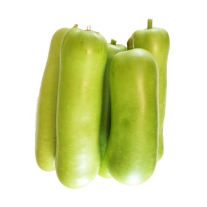Long Squash
