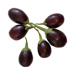 Eggplant Round