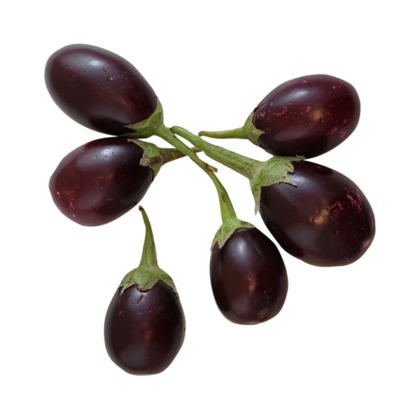 Eggplant Round
