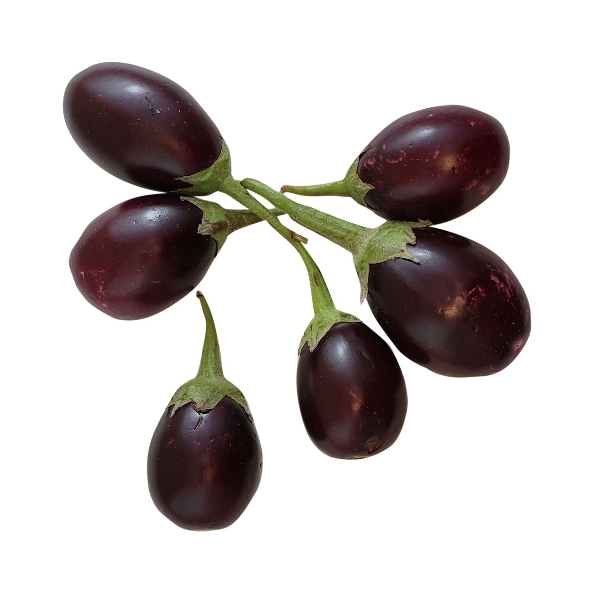 Eggplant Round - Image 1