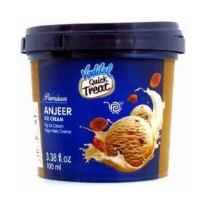 ANJEER ICE CREAM 100ML VADILAL