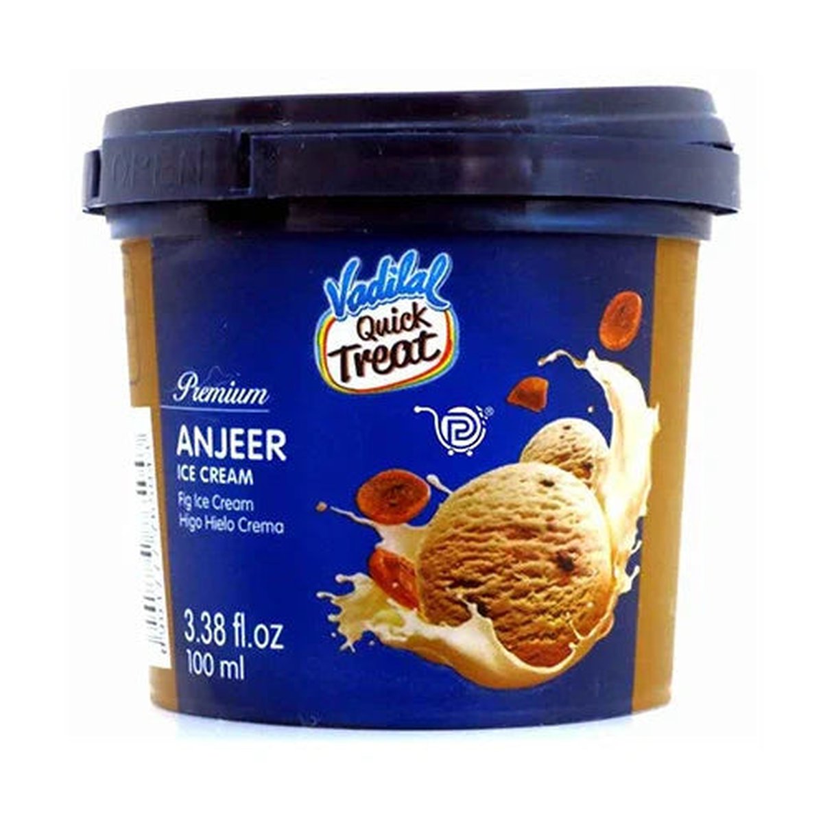 ANJEER ICE CREAM 100ML VADILAL - Image 1