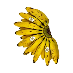 Baby Banana