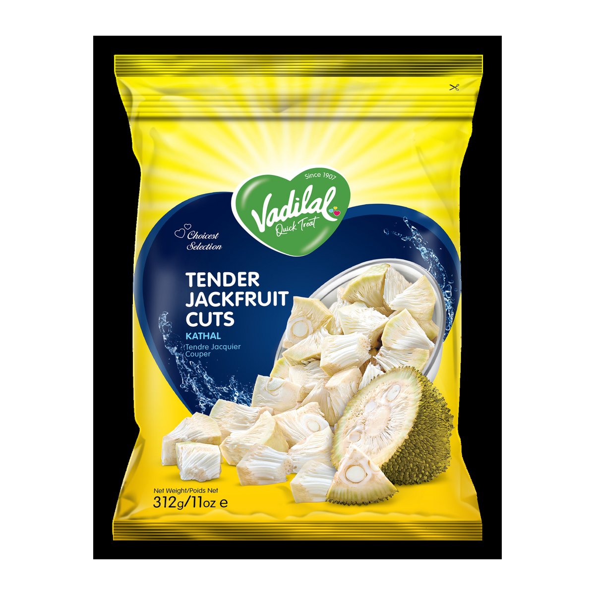 VADILAL TENDER JACKFRUI  312GM - Image 1